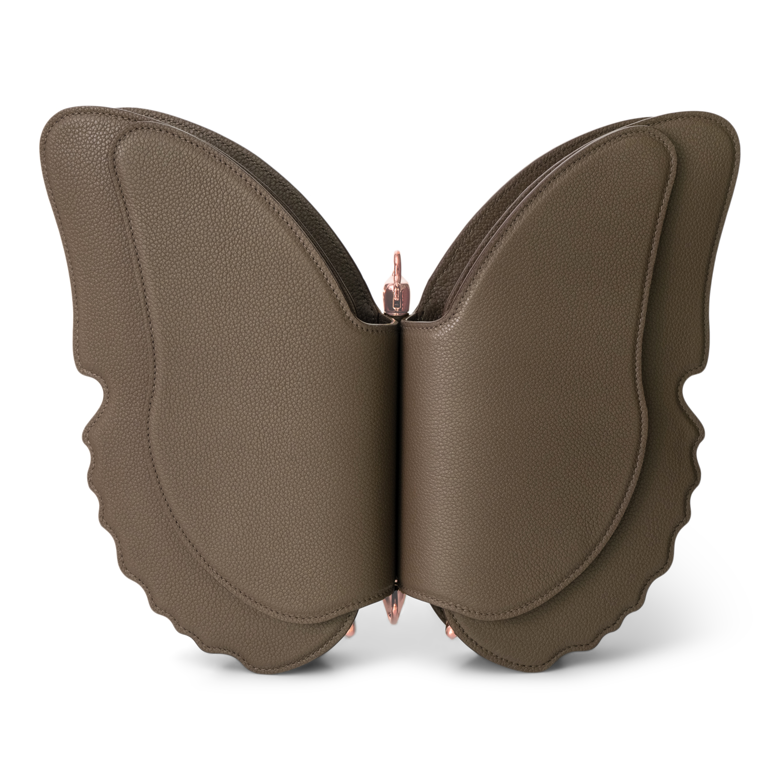 The Butterfly bag