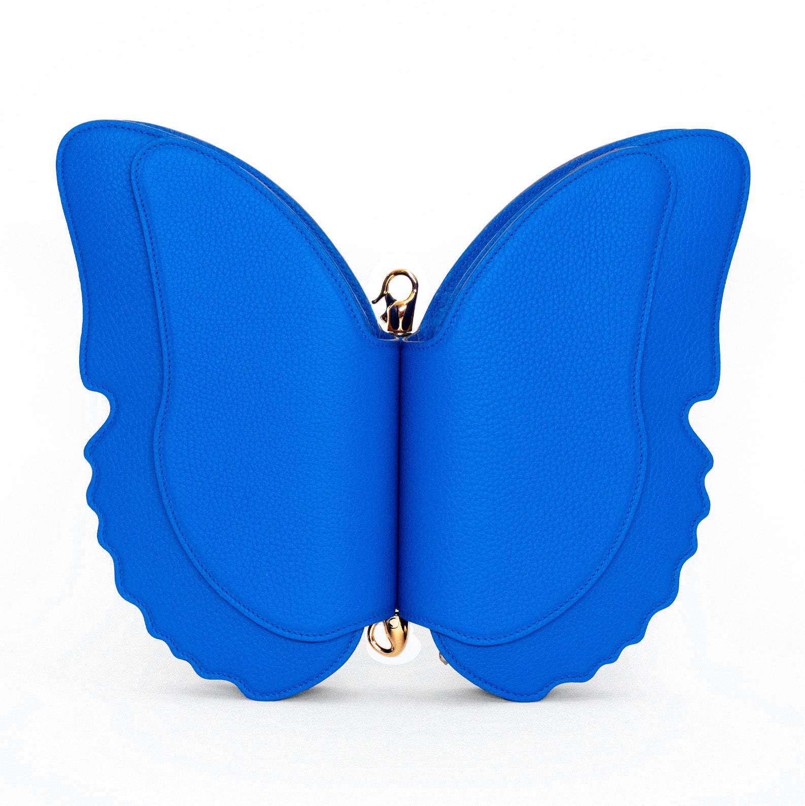 The Butterfly Bag