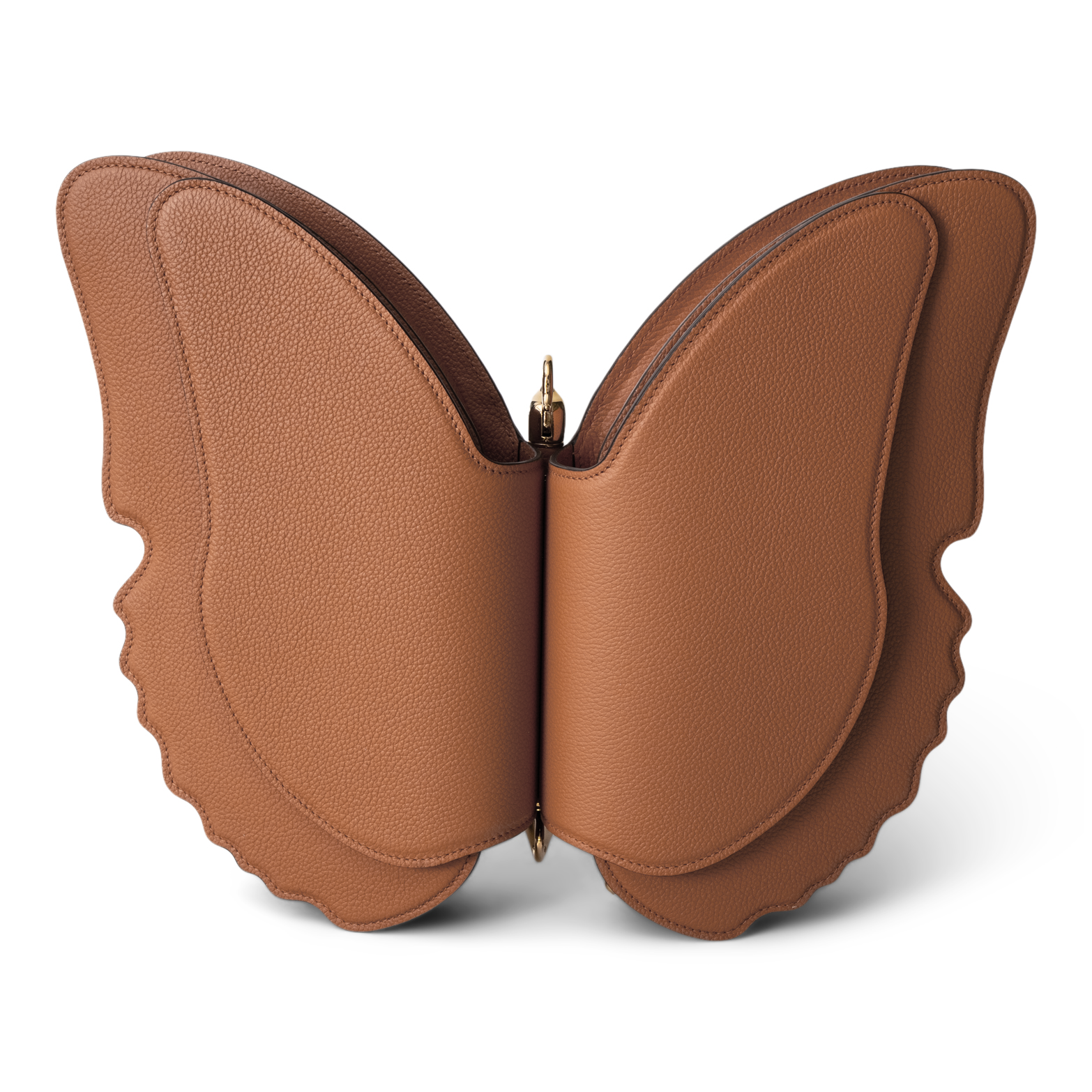 The Butterfly bag
