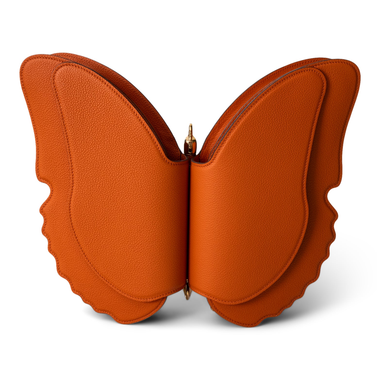 The Butterfly bag